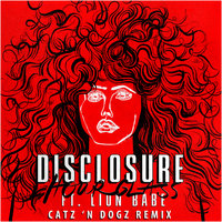 Hourglass - Disclosure, Lion Babe, Catz 'n Dogz