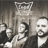 Crowing - Toad The Wet Sprocket