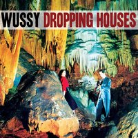 Dropping Houses - Wussy
