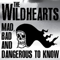Nothing Ever Changes but the Shoes - The Wildhearts