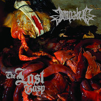 Up The Dose - Impaled