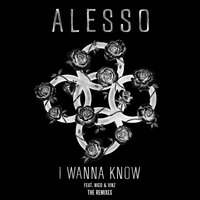I Wanna Know - Alesso, Nico & Vinz, Deniz Koyu