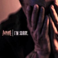 I'm Sorry. - Änimal