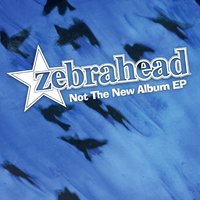 We're Not A Cover Band, We're A Tribute Band - Zebrahead