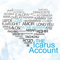 Little Things - The Icarus Account