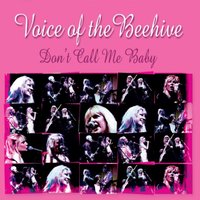 Beat Of Love - Voice of the Beehive