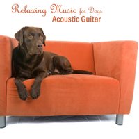 I'll Have to Say I Love You In a Song - Acoustic Guitar Songs