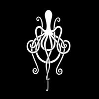 The Octopus - Amplifier