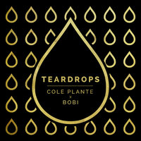 Teardrops - Cole Plante, Bobi