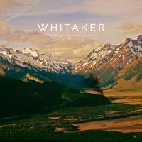 Eyes - Whitaker