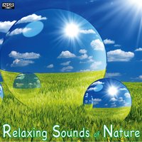 Relaxing Thunderstorm - Relaxing Sounds of Nature