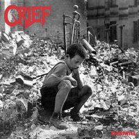 Fleshpress - Grief
