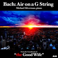 Air on a G String (From "the Good Wife") - Michael Silverman