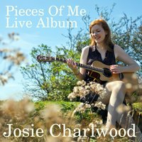 Diamond Eyes - Josie Charlwood