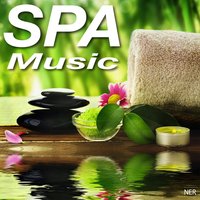 The Vision - Spa Music