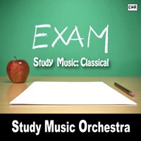 Air On A G String - Study Music Orchestra