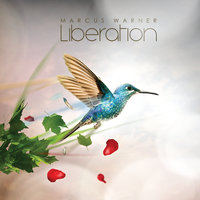 Telescope - Marcus Warner