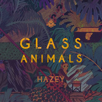 Hazey - Glass Animals, Rome Fortune