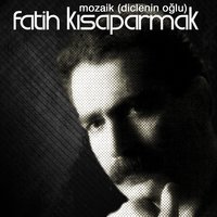 Gurbet Türküsü - Fatih Kısaparmak