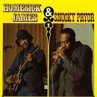 Shake Your Money Maker - Homesick James, Snooky Pryor