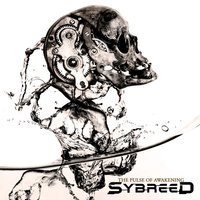 In the Cold Light - Sybreed