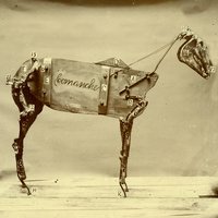 Horse Comanche - Chadwick Stokes, State Radio