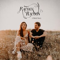 Deep Brown Eyes - Racoon Racoon