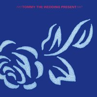 Felicity - The Wedding Present