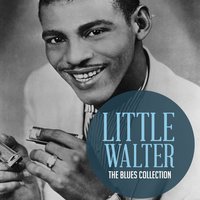 Your'e so Fine - Little Walter