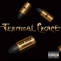 Like This - Terminal Choice