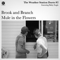 Brook and Branch - The Weather Station, Baby Eagle