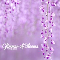 Confession - Glimmer of Blooms