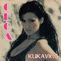 Zarila sam zar - Ceca Raznatovic