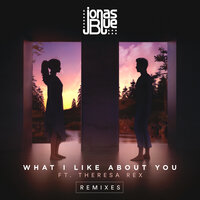 What I Like About You - Jonas Blue, Theresa Rex, Syn Cole