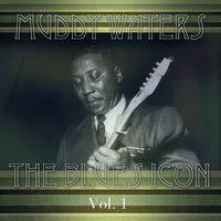 Got My Mojo Working - Part 2 - Muddy Waters