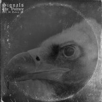 The Vulture (All It Takes II) - Signals