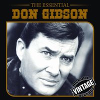 A Perfect Mountain - Don Gibson