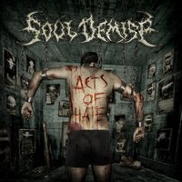 Acted Out of Hate - Soul Demise