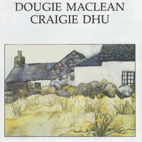 High Flying Seagull - Dougie MacLean