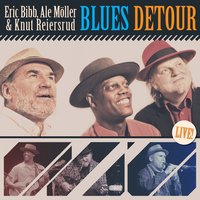 Nobody's Fault but Mine - Eric Bibb, Ale Möller, Knut Reiersrud