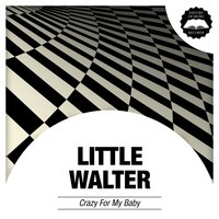 Don't Go No Farther - Little Walter, Muddy Waters