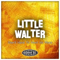 Stuff You Gotta Watch - Little Walter, Muddy Waters