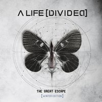It's Alright - A Life Divided