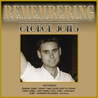 Ruby,Don't Take Your Love to Town - George Jones