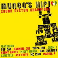 Did You Really Know (feat. Soom T) - Mungo's Hi-Fi, Soom T