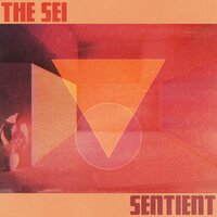 Sentient - The Sei