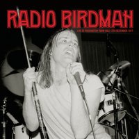 Dark Surprise - Radio Birdman