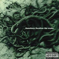 In My Veins - Desultory