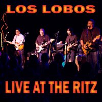 Buzz, Buzz, Buzz - Los Lobos