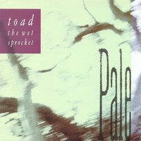 Chile - Toad The Wet Sprocket